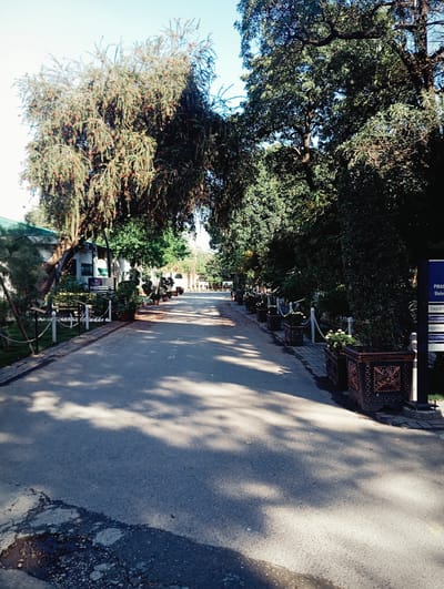 The image shows a street in Rawalpindi, Pakistan, lined with trees that cast shadows on the asphalt road. On either side of the road, there are planter boxes. The left side of the road features a building partially obscured by trees and a white chain-link fence. A sign is visible on the right side of the road. The asphalt road shows signs of disrepair, with cracked and damaged areas. The overall impression is of a quiet, tree-lined street within an urban area.