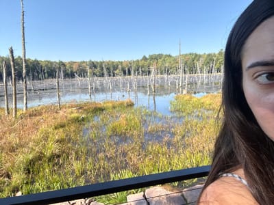 The image depicts a wetland environment, likely a beaver pond or swamp, located near Otego, United States, under a clear blue sky. In the foreground, the upper right quarter of a female individual's face is visible, with dark hair cascading over her right shoulder and her right eye looking towards the viewer. She is positioned behind a dark, horizontal railing. Below the railing, light brown and grey paving stones are visible.
The midground features a body of water with numerous bare, skeletal tree trunks and stumps emerging from it. Patches of green and golden-brown marsh grasses and other vegetation are interspersed within the water. The background reveals a dense line of coniferous and deciduous trees, with some autumn foliage visible, indicating a forest line. The overall lighting suggests a clear day.