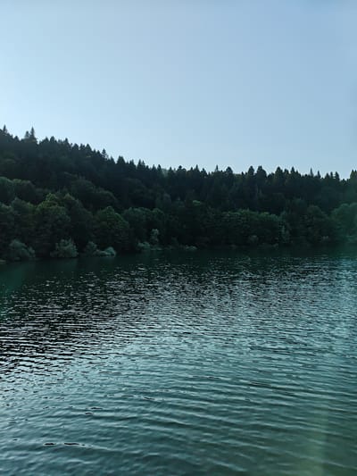 This is a vertical, eye-level, medium shot of a body of water with a forest in the background, likely in Kharistvala, Georgia. The sky is a pale, overcast blue and takes up the top third of the image. Below the sky is a dense, dark green forest that lines the shore of the water. The trees are a mix of deciduous and coniferous, with the taller evergreen trees forming a jagged line against the sky. The forest appears to be on a slight incline. The bottom two-thirds of the image is the dark, greenish-blue water, which is rippled by a gentle breeze. The ripples create a textured surface with highlights and shadows. There are no people or man-made objects visible in the scene.