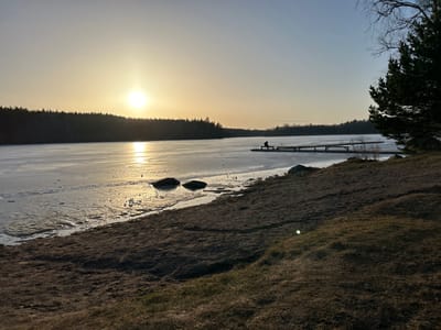 The image displays an outdoor scene at Fjällnora, Sweden, under a low sun, consistent with either sunrise or sunset. A large body of water, likely a lake, extends from the mid-ground to the distant horizon, primarily covered in a layer of ice. The sun, a bright golden orb, is situated low above the distant treeline, projecting a strong, shimmering reflection across the icy surface. In the immediate foreground, a brown, sparsely vegetated earthen bank slopes down to a dark, sandy shoreline. Two dark, irregular stones are visible at the water's edge, resting partially on the ice. A wooden pier extends from the right side of the shore into the frozen lake. A solitary human figure is seated at the far end of the pier, silhouetted against the illuminated ice, facing away from the viewer towards the lake. The distant bank is densely forested with dark evergreen trees, forming a continuous silhouette against the bright sky. The trunk and lower branches of a conifer tree are partially visible on the extreme right of the foreground.