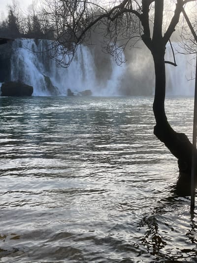 The image depicts the Kravica Waterfall in Zvirići, Bosnia and Herzegovina, viewed from the water level. The foreground is dominated by the dark, rippling surface of the river, which reflects light, creating silvery streaks and showing small concentric circles from surface disturbances. A bare, dark-barked tree trunk with several branches, silhouetted against the bright background, extends from the right edge of the frame into the water. In the midground, the multi-tiered waterfall cascades downward, forming a wide curtain of white, foamy water. Significant mist rises from the base of the falls where the water impacts scattered rocks. The background features a treeline of bare deciduous trees above the waterfall, partially obscured by mist and bright atmospheric haze. The scene is illuminated by strong backlighting, casting the foreground tree and parts of the environment into shadow. No individuals or specific human-made objects are identifiable.