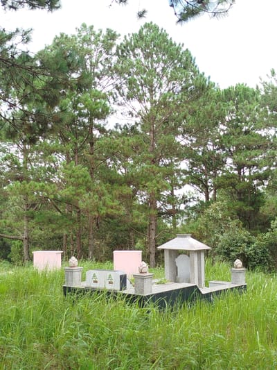 In a cemetery in Tuý Sơn, Vietnam, two pink rectangular structures stand to the left of a tomb. The tomb features a grey stone base with a black granite border. A central upright grey stone has a white, possibly marble, effigy or marker. A grey, pagoda-like canopy covers the effigy. Two smaller grey stone posts flank the tomb, each topped with a decorative finial resembling a lotus bud. To the left of the tomb, a grey stone marker with two decorative green trees painted on it is visible. The entire scene is surrounded by tall, green grass and set against a backdrop of tall pine trees under an overcast sky.