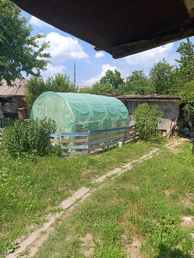 The image depicts a backyard scene in Ladyzhyn, Ukraine, on a sunny day with a partly cloudy sky. In the foreground, a pathway made of concrete slabs runs through overgrown grass. To the left of the pathway is a greenhouse covered in green netting, enclosed by a rustic wooden fence. Behind the greenhouse, a concrete wall with a corrugated metal roof runs along the property line. Trees and bushes are visible throughout the yard, and a small, weathered building with a sloped roof is situated to the far left. The overall impression is one of a rural or suburban residential setting, likely a private garden or dacha.