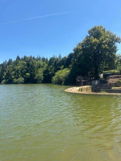 This is an eye-level, medium shot of a lake in Coteaux du Lizon, France. The lake's surface is calm, with gentle ripples. A dense forest borders the far side of the lake. On the right, a stone embankment leads up to a concrete structure with a small waterfall and an elevated walkway. A large deciduous tree stands behind the structure, its branches reaching towards the bright blue sky. A contrail is visible in the sky. The image is taken on a clear, sunny day.