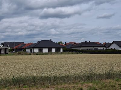 The image depicts a suburban landscape in Nakło nad Notecią, Poland, under a cloudy sky. In the foreground, a field of ripe wheat or barley stretches across the frame, with its stalks a pale golden brown. Behind the field, a row of modern houses with dark tiled roofs is visible. Some of these houses have solar panels installed on their roofs. One house on the left appears to be under construction, with exposed brickwork. A low hedge runs along the front of the houses, separating them from the field. The overall impression is one of a rural residential area on an overcast day.