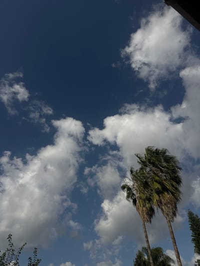 An outdoor scene captured in Beit Yitshak Sha'ar Hefer, Israel, displays a clear blue sky interspersed with numerous white cumulus clouds of varying sizes. Two tall palm trees with green fronds and light brown trunks dominate the right side of the frame, extending upwards from the lower right quadrant. The fronds of the palm trees appear slightly blurred or ruffled, suggesting motion from wind. To the immediate right and slightly below the palm trees, the dark green crown of a coniferous tree is partially visible. In the lower left quadrant, the upper foliage of several leafy green shrubs or smaller trees is present. A dark, angular structural element, possibly part of a roof or overhang, is visible in the extreme upper right corner. The scene is brightly illuminated by natural daylight. No individuals or specific actions are depicted.