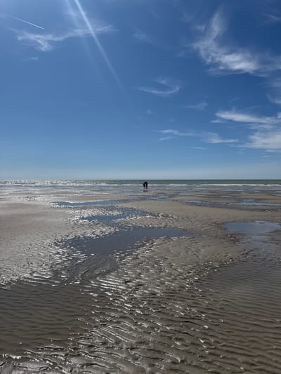 The image captures a wide shot of the beach at low tide in Berck, France, under a clear blue sky with scattered white clouds. A contrail from an airplane is visible in the upper left portion of the sky. The foreground is dominated by wet sand, marked with ripples left by the receding tide, reflecting the sunlight. Several shallow pools of water are scattered across the sand. In the middle distance, the ocean stretches to the horizon, with gentle waves breaking. Two figures, appearing to be a person and possibly a child or a dog, are standing near the water's edge. The overall scene depicts a tranquil beach environment.