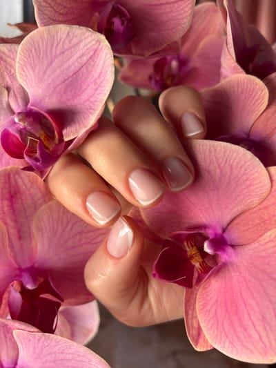 A close-up shot features a person's hands with a French manicure nestled amongst pink orchids. The orchids, in various stages of bloom, fill the frame with soft, peachy-pink petals and deeper magenta centers. The hand is positioned delicately, with fingers slightly curled, allowing the viewer to appreciate the clean, classic nail design. The polished nails have a sheer pink base with crisp white tips, highlighting their shape and smoothness. The soft lighting accentuates the textures of both the velvety orchid petals and the glossy nail polish. The overall scene evokes a sense of calm, beauty, and attention to detail, suggesting a moment of relaxation or pampering. There is no visible text, time of day, weather, or specific location cues within the image, other than the provided context of Wörth am Main, Germany.