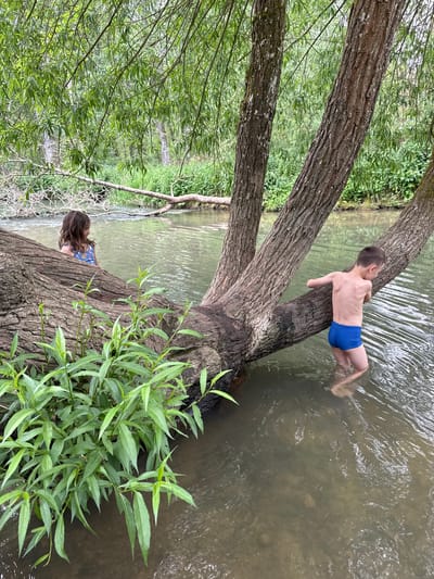 The image shows two children on a large fallen tree that lies partially in a body of water. A boy in blue swimming trunks is lying on the tree trunk with his upper body and legs immersed in the water. A girl, visible from the back, is sitting on the tree trunk, away from the water. The tree appears to be lying over a small river. Lush green foliage surrounds the scene. This image was taken near or in West Oxfordshire, United Kingdom.