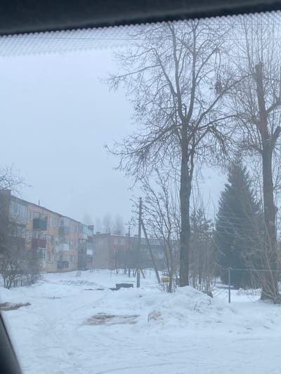 The image depicts a snow-covered residential area within Карабоўскі сельскі Савет, Belarus, under overcast winter conditions, captured from the interior of a vehicle. The foreground consists of snow-covered ground marked by vehicle tracks and areas of melted, dirty snow. In the midground, a multi-story apartment building with a light yellow facade and various balconies is visible on the left. Further right, a smaller, reddish-brown multi-story building is partially obscured by atmospheric haze. Several bare deciduous trees, including a prominent one towards the center-right, and a dark green coniferous tree are present. A utility pole supporting electrical wires is discernible. The sky is uniformly grey, indicating overcast weather and contributing to widespread atmospheric mist or haze. No individuals are visible.