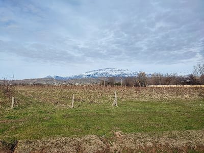 A landscape features a field transitioning from brown to green, dotted with posts likely supporting a vineyard. In the mid-ground, a row of bare trees and utility poles line the field. Beyond, a town nestles at the foot of a snow-capped mountain range, which dominates the horizon. The sky is overcast with a blanket of gray clouds.