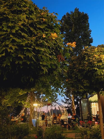 This image depicts an outdoor dining area in Grivitsa, Bulgaria, at dusk. Several people are seated at tables under trees adorned with fairy lights. Some of the trees have green leaves, while others show hints of autumnal yellow. In the background, a transparent dome-shaped structure, likely a dining igloo, is visible. To the right, part of a building with an open glass door is also present. The sky is a deep blue, transitioning to lighter hues near the horizon, suggesting the end of the day. The overall ambiance is that of a cozy, illuminated outdoor restaurant setting.