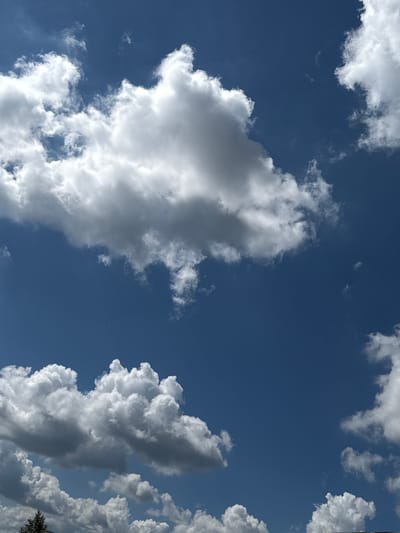 A deep blue sky is filled with fluffy white and gray clouds. The clouds are scattered across the frame, with some appearing larger and more textured than others. A small dark shape, possibly a bird or an insect, is visible in the center of the frame. The bottom edge of the image shows a hint of green foliage, suggesting the presence of trees or other vegetation. The overall scene depicts a bright, partly cloudy day.