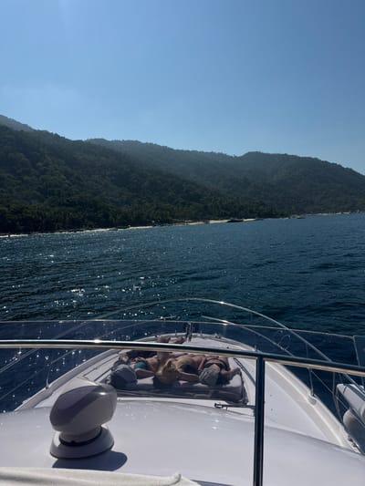 The image captures a boat gliding across the water near a densely forested coastline under a clear, bright sky. People are lounging on the boat's deck, enjoying the sunshine and sea breeze. The water glistens under the sunlight, creating a sparkling effect. The angle suggests the photo was taken from the boat itself, looking towards the shore. The boat's features, such as railings and equipment, are visible, adding depth to the scene.