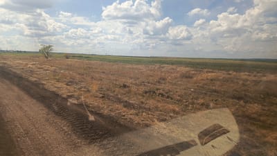 The image shows a rural landscape under a cloudy sky. A dirt road runs along the left side of the frame, with tire tracks visible. The road is bordered by dry, brown grass and some sparse vegetation. In the middle ground, there is a field of green crops, and further in the distance, more fields and some power lines are visible. A single tree stands in the middle ground. The overall impression is one of a dry, open area. There is a reflection of what appears to be part of a vehicle's dashboard in the lower right corner of the image, indicating the photo was taken from inside a vehicle. The location is identified as Rybushka, Russia, a rural area consistent with the scene depicted. There are no people or animals visible in the image.