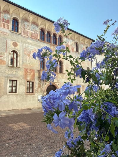 This is a medium shot, outdoor photograph taken from a low angle looking upwards. The main subjects are a building facade with intricate architectural details and several branches of blue flowers with green leaves cascading in the foreground. The building appears to be old, with faded frescoes painted on its stucco walls, depicting what seem to be historical or religious scenes. Several windows are visible, some arched and others rectangular, with dark wooden frames. The architectural style suggests it could be a historic building in a European city.
The blue flowers are vibrant and occupy a significant portion of the frame, partially obscuring the building. They are detailed with delicate petals and green foliage. The scene is set against a clear, light blue sky, indicating daytime, likely morning or late afternoon due to the soft lighting. The ground visible on the right side of the image is paved with small, reddish-brown bricks arranged in a patterned way, suggesting a street or a courtyard.
There is no visible text in the image. The overall mood is serene and picturesque, highlighting the natural beauty of the flowers against the backdrop of historical architecture. The photograph captures a moment of natural beauty intertwined with history, possibly in a quaint Italian town like Trento.