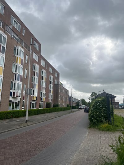 The image captures a street scene in Leeuwarden, Netherlands, under a cloudy sky. The foreground features a reddish-brown brick pedestrian path that transitions into a grey paved sidewalk. To the left, a modern brick apartment building with numerous windows, some with colorful inserts, is visible, bordered by a trimmed green hedge. A lamppost stands on the sidewalk in front of the building. The street itself is paved with grey asphalt and shows a slight incline. Several cars are parked along the street. On the right side of the street, a large green bush with white flowers dominates the view, with a smaller paved area behind it. Further down the street, more buildings and trees are visible. The overall impression is a residential urban environment on an overcast day.