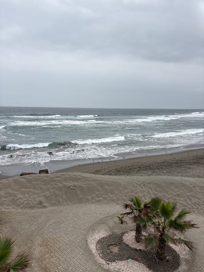 The image depicts a cloudy, overcast day at a sandy beach in San Antonio, Peru. The ocean waves are active, with whitecaps breaking as they approach the shore. Several birds are visible on the wet sand near the water's edge. The foreground features sand dunes with textured patterns and a paved pathway with a decorative circular arrangement of small stones and shells. Two palm trees are planted within this circular area, with a smaller palm visible in the distance. Another palm frond is seen in the lower left corner of the image. The overall scene suggests a coastal environment under a gray sky.