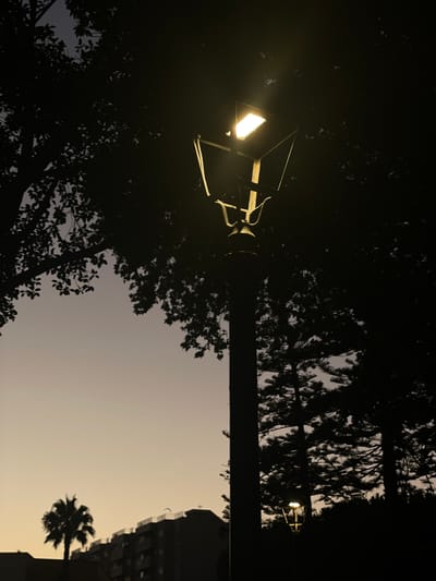 A tall, dark lamppost with a bright light at the top stands prominently in the foreground, silhouetted against a dusky sky. To the left, the branches and leaves of a large tree are visible as a dark silhouette. In the background, more trees, a palm tree, and the dark outline of a building are present. The sky transitions from a deep twilight color at the top to a lighter, yellowish hue towards the horizon. The scene appears to be an urban park or street in La Línea De La Concepción, Spain, at dusk.