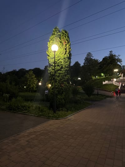 The image depicts a park-like setting at dusk, with a clear blue sky visible. A prominent element is a tall, conical evergreen tree illuminated by a bright streetlamp, casting a strong glow. Several overhead power lines traverse the sky above the tree.
To the right of the tree, a paved pathway made of reddish-brown bricks runs diagonally across the frame. Adjacent to the pathway is a strip of green grass and vegetation. Further into the park, more trees and bushes are visible, interspersed with more streetlights that illuminate the scene with a warm, yellow glow.
In the background, there is a white ornate balustrade, suggesting a staircase or a decorative feature within the park. A few individuals can be seen on or near the balustrade, and two bicycles are parked nearby, one with a red frame and another with a darker frame. The presence of people and bicycles suggests a public space where people might be engaging in leisure activities.
The overall atmosphere is peaceful and serene, characteristic of an evening in a park. The lighting suggests it is either early evening or late dusk, as the sky is still illuminated but the streetlights are on. No visible text is present in the image. The location context provided is Endirey, Russia.