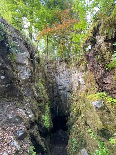 The image shows a view looking into a dark opening in a rock face covered in moss and vegetation. The rock face appears to be part of a natural formation or cliff. Trees and foliage are visible above the rock face, with some leaves exhibiting orange and green hues. There are what appear to be cables running across the rock face, possibly for support or utilities. The dark opening suggests a cave or tunnel. This is in Garraunbaun, Ireland.