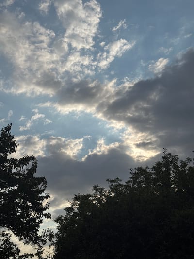 The image shows a view of the sky from ground level, looking upwards through the branches of trees. The sky is partly cloudy with a mix of dark and light grey clouds interspersed with patches of blue sky. Sunlight is breaking through in some areas, creating bright, illuminated sections within the clouds. The trees in the foreground are silhouetted against the sky, with their dark green leaves obscuring much of the lower portion of the image. The scene suggests an outdoor environment, possibly a park or residential area, in Novotitarovskaya, Russia. There are no people or specific objects of interest visible in the image, apart from the natural elements of trees and sky.