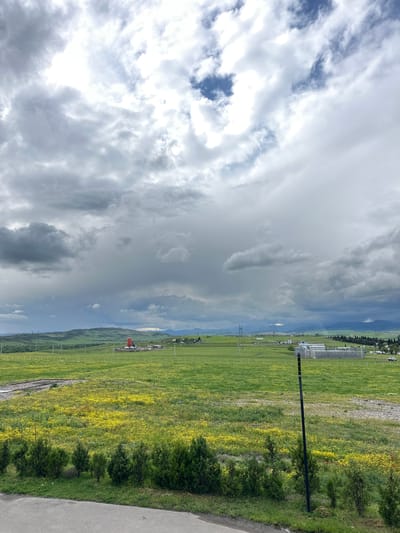 The image depicts a landscape with a cloudy sky covering approximately half of the frame. Below the sky, a green field stretches out with patches of yellow flowers. A black pole stands in the middle ground. In the background, there are buildings and infrastructure, possibly indicating an industrial or urban area. The location appears to be near Marneuli, Georgia, suggested by the hilly terrain in the distance.