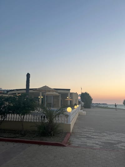 The image depicts a scenic view of a coastline at dusk, likely in Rhodes, Greece. The sky transitions from a pale blue near the top to a warm gradient of orange and yellow near the horizon, indicating sunset. A body of water, possibly the sea, is visible in the background.
In the mid-ground, a building with a light-colored facade and multiple windows stands beside a paved walkway. Outdoor lights, spherical and emitting a warm glow, are mounted along a white decorative railing in front of the building, suggesting an evening ambiance. Trees and palm fronds add greenery to the scene, with one notable palm tree trunk appearing stark and textured.
On the paved area near the water's edge, a solitary figure is visible, appearing to walk towards the sea. The walkway is made of interlocking paving stones in a patterned arrangement. The overall setting evokes a relaxed atmosphere, common in coastal resorts. The time of day is clearly evening, and the weather appears clear. There is no visible text in the image.
