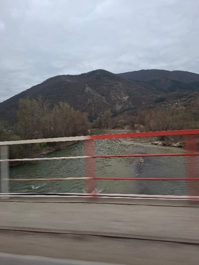 The scene captures a view from a bridge crossing a river in Cherniche, Bulgaria. In the immediate foreground, a concrete bridge deck is visible at the bottom of the frame, horizontally bisected by a white and red painted metal railing. The railing consists of multiple horizontal bars and vertical supports. Beneath the railing, a greenish-brown river flows from left to right, displaying ripples on its surface. The riverbanks are vegetated with sparse deciduous trees and bushes, largely bare of leaves, consistent with a non-summer season. The background is dominated by a range of dark, forested mountains, also sparsely covered with bare deciduous trees and featuring some rocky outcrops. The sky is uniformly overcast with grey clouds. No individuals, animals, or specific activities are present.