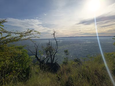 The image displays a panoramic landscape captured from an elevated perspective, providing a sweeping view over a populated valley extending to distant hills, under a bright sky. This scene is situated in the area of Geundring, Indonesia.
The upper portion of the frame is dominated by the sky, transitioning from light blue on the left to an off-white hue on the right. White, elongated clouds are visible, particularly dense and streaky on the left, while more scattered and diffuse formations appear towards the right. A prominent, intense white sun is located in the upper right quadrant, emitting a distinct vertical lens flare that traverses downwards and slightly left across the sky and distant landscape.
The immediate foreground is characterized by dry, tall grasses and various shrubbery. A branch with small green leaves extends into the frame from the upper left. Towards the center, a gnarled, dark, and largely defoliated tree trunk with several bare branches rises from what appears to be rocky ground, encircled by shorter green plants and further patches of dry grass. The terrain in the foreground suggests a downward slope.
Beyond the immediate vegetation, the mid-ground shows a transition into a heavily vegetated hillside. The background unfolds into a broad valley or plain, which contains a mix of urban development and agricultural land, indicating a town or city. Buildings are discernible among green fields, with details becoming less distinct due to atmospheric haze. Subtle plumes of smoke or mist are faintly visible rising from points within the valley, notably on the left side. This developed area is identified as part of Geundring, Indonesia.
The distant horizon is defined by a range of hills or mountains, appearing as dark blue-grey silhouettes due to atmospheric perspective. No individuals or animals are present within the frame, and no specific activities are in progress. The environment depicts a sunny day over a natural highland vista overlooking a developed human settlement.
