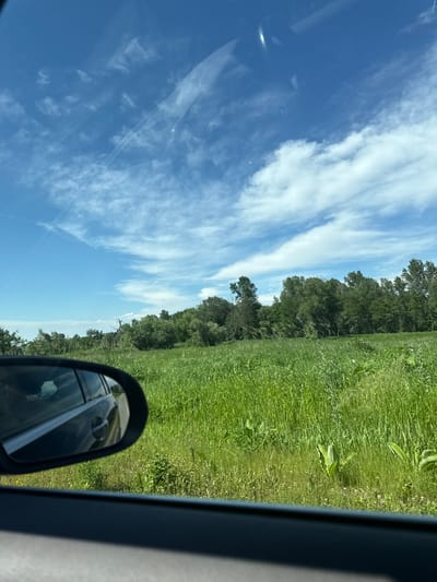 The image is taken from inside a vehicle looking out the passenger side window. In the foreground, a dark car door frame is visible. The side-view mirror of the vehicle is prominent on the left side of the frame, reflecting the sky and a glimpse of the road. The middle ground features a lush, vibrant green field with tall grasses and scattered small white flowers. Beyond the field, a dense line of mature green trees forms a natural border. The background is dominated by a bright blue sky filled with wispy white clouds. The overall scene depicts a sunny day in a rural or natural environment, possibly on the outskirts of Alagir, Russia, judging by the natural landscape and clear skies. There are no people visible in the image.