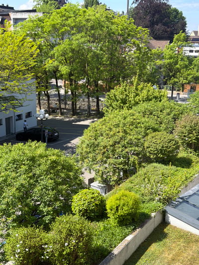 An elevated, daytime view captures a section of street in Rapperswil-Jona, Switzerland. Lush green trees and bushes dominate the landscape. A multi-story building is visible on the left side. A black car parked along the street casts a shadow. A person in a white shirt stands near the car by a light pole. Other buildings can be seen further back.