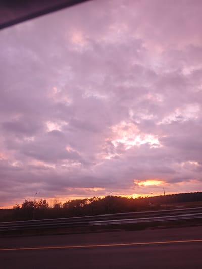 The image captures a scenic view of a pink and purple sky with clouds, likely during sunset. Below the sky, a dense line of trees forms a dark silhouette against the horizon. A highway guardrail and asphalt road are visible in the foreground, suggesting the photo was taken from a vehicle. The lighting indicates dusk. There are no people or specific landmarks visible that would indicate the city of Ispytatel', Russia.