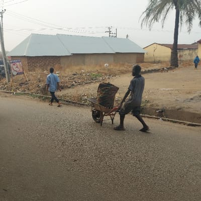 The image captures a sunlit, outdoor scene, likely in a residential or semi-rural area, characterized by unpaved ground and simple buildings alongside a paved road. The overall impression is one of everyday activity in a warm climate.
In the foreground, a man is actively pushing a wheelbarrow along the edge of a paved road. He is wearing a dark-colored short-sleeved shirt and dark shorts, with flip-flops or sandals on his feet. The wheelbarrow is old, with a rusty red frame and a dark, possibly metallic, basin that appears to be filled with a dark, bulky material, possibly debris, waste, or soil. The man is positioned with his back slightly to the viewer, looking forward as he pushes the load.
Further down the road, behind the man with the wheelbarrow, another person is walking in the same direction. This individual is wearing a light blue long-sleeved shirt and dark trousers or shorts, also appearing to wear flip-flops. Even further in the background, to the right, a third person is partially visible, wearing a light blue outfit.
The road itself is paved with a light grey, textured asphalt. To the left of the road, there's an unpaved, dusty shoulder area with sparse dry vegetation and some scattered small pieces of debris.
In the background, several buildings are visible. On the immediate left, a large, single-story building features brick walls and a light-colored, possibly corrugated metal, roof. Adjacent to this building, near the bottom left corner, there is a sign with some text and an image. Although partially obscured and blurry, the visible text includes "YUME..." at the top and "PHARM..." below it, along with a graphic of a baby, suggesting it might be an advertisement for a pharmacy or a health-related service like "YUMECO PHARMACY." In front of this building, a small white animal, possibly a goat or a dog, is standing.
Beyond this building, an older structure with yellowish-brown walls and a darker roof can be seen. A large palm tree stands prominently on the far left of the frame, partially cropped. Utility poles and power lines crisscross the upper left portion of the image. The sky is bright and clear, indicating daytime, possibly mid-morning or afternoon.