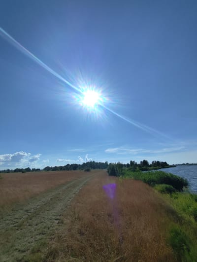 This is a landscape photograph taken on a sunny day in Ozernoye, Russia. The sun is very bright and prominent in the upper center of the image, creating lens flares that streak across the clear blue sky. Below the sky, a wide expanse of dry, golden grass stretches across the foreground and midground, with a dirt path cutting through it. To the right, the grass gives way to lush green vegetation and a body of water, likely a lake or river, reflecting the sunlight. In the distance, a line of trees forms a dark silhouette against the horizon. The overall impression is one of a peaceful, natural setting bathed in the warmth of a summer day. The weather appears to be clear and sunny, suggesting it is daytime, likely mid-morning to afternoon, given the intensity of the sun. There are no visible people or objects other than the natural elements of the landscape. No text is present in the image.