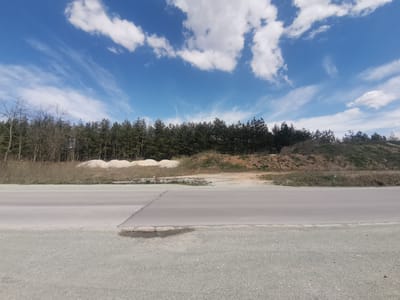 The scene depicts an outdoor environment in Gorna Vasilitsa, Bulgaria. A two-lane asphalt road occupies the foreground. A small puddle of water is visible on the right edge of the road. Behind the road is a dirt and grassy area, followed by a row of evergreen trees and bare trees on the left side. A pile of light-colored aggregate material is behind the grassy area. The sky above is blue with scattered cumulus clouds.