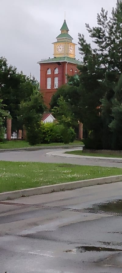 The image captures a brick building with a prominent clock tower, likely part of the Ангелово Клубная Резиденция in Russia. The clock tower is topped with a green, pointed roof and features two visible clock faces with gold trim. Below the clock tower, the building is constructed of red brick and has arched windows with white frames. The scene is surrounded by lush green trees, with a paved road and a grassy area in the foreground. The sky is overcast, suggesting a cloudy day. There are no people visible in the image.