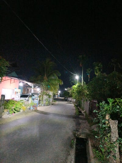 The image captures a quiet, unpopulated residential street in Beunot, Indonesia, at night. The scene is illuminated by multiple streetlights and lights from nearby houses, creating pools of light on the road and surroundings, contrasting with the dark, clear sky overhead.

On the left side of the narrow, paved asphalt road, several simple, single-story houses are visible. One house in the foreground is painted a light orange-pink, with a white car parked in front. Numerous potted plants and flowering bushes line the fronts of these homes, adding a touch of greenery. A large palm tree stands tall behind the houses.

The right side of the road features dense, dark green foliage, including bushes and several tall palm trees stretching into the distance. A wooden fence runs along this side, and an open concrete drainage ditch is visible alongside the road in the foreground.

The road itself appears somewhat reflective under the artificial lights, suggesting a smooth surface. Power lines are faintly discernible against the dark sky. No people or visible text are present, contributing to the serene and still atmosphere of a typical night in the neighborhood.