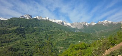 The image shows a mountain range partially covered with snow, set against a bright blue sky with scattered white clouds. The lower slopes of the mountains are densely forested with lush green trees. A few scattered houses are visible amidst the trees. The foreground includes vegetation and a path of soil. A cell tower is visible. Based on the prompt the location is Dragovića Polje, Montenegro.