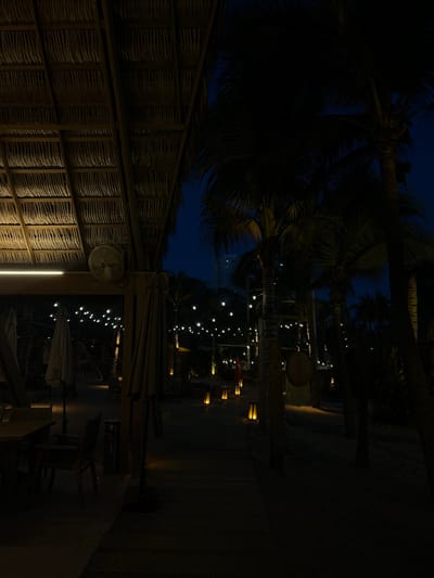 Here is a detailed description of the image:
The image depicts an outdoor scene in Mazatlán, Mexico, likely a restaurant or bar patio, at night. In the foreground, a thatched roof structure is visible, illuminated by a vertical light fixture that highlights its woven texture. A fan is mounted on a nearby post.
Beyond the thatched structure, a dimly lit patio stretches out, adorned with strings of lights that extend into the distance. Palm trees are silhouetted against the night sky, framing the scene. Tables and chairs are scattered throughout the patio, and the open umbrellas suggest it is a dining area. The dim lighting creates a relaxed and atmospheric ambiance.