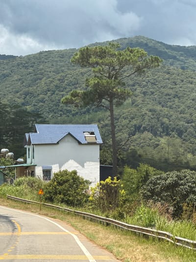 In Tu Póh, Vietnam, a white, two-story house with a blue tiled roof is situated at the base of a lush, green mountainside. The house has several windows, and a solar water heater is visible on the roof of a smaller, adjacent building. A tall, slender pine tree stands in front of the mountain, its branches extending towards the house. A paved road curves in the foreground, marked with yellow lines and reflectors. A yellow triangular warning sign indicating a sharp curve to the left is posted on the side of the road. The sky is overcast with gray clouds.