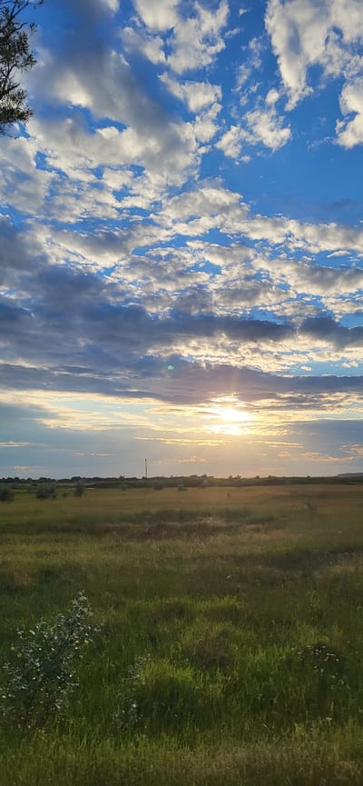 This is a vertical, eye-level, outdoor photograph taken at sunset in Hetmanivka, Ukraine. The sky is filled with a mix of blue sky and white and gray clouds, with the sun appearing as a bright, diffused light source just above the horizon line. The sun is partially obscured by clouds, casting rays of light across the sky. Below the sky, there is a wide, flat expanse of green grass and vegetation, with some scattered trees and shrubs. A single utility pole is visible in the middle ground, and the horizon line is lined with a dense, dark vegetation or treeline. The overall impression is one of a rural, open landscape at the end of the day.