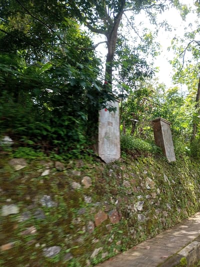 The scene depicts a roadside in Viengthong, Laos, captured from a moving perspective. A paved path, composed of reddish-brown rectangular pavers, extends along the lower right portion of the image. To its immediate left, a retaining wall constructed from irregular stones is visible, heavily overgrown with green moss and small plants. Positioned on the elevated ground above this wall are two weathered, rectangular concrete or stone pillars. The pillar on the left is light grey, mostly upright, and exhibits a small red mark on its upper left surface. The second pillar, located to the right and further back, is darker, similarly shaped, and leans slightly to the right. Dense green foliage, including trees with visible trunks and branches, dominates the background and upper left, with a bright sky visible through the canopy. No individuals, animals, or specific actions are discernible within the frame.