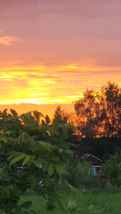 The image shows a sunset in Бельково (раменский Р-н), Russia. The sky is filled with pink and yellow light. Trees are silhouetted against the sky. A small building with a red roof is visible among the trees. Green plants are in the foreground.