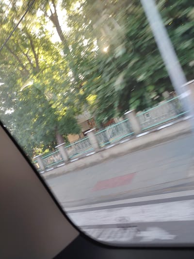 The image depicts a blurred view from inside a vehicle, looking outwards through a window. The scene is set in Daskotna, Bulgaria, and shows a street with a pedestrian crossing. Lush green trees line the street, with sunlight filtering through their leaves. A fence with a turquoise railing separates the sidewalk from a building in the background, which appears to be a school or administrative building, as suggested by a partially visible sign with Cyrillic script. The motion blur indicates the vehicle was in transit when the photograph was taken.