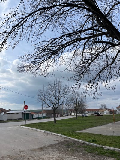 An outdoor scene in Sredkovets, Bulgaria, depicts a road intersection on an overcast day during late winter or early spring. The upper portion of the frame is dominated by the silhouetted, bare branches of a large deciduous tree, showing small leaf buds against a partially cloudy sky with patches of light blue. In the lower foreground, an asphalt road surface meets a rough, unpaved area.

To the left, a red circular STOP sign with white lettering is mounted on a pole at the corner of the intersection, positioned beside a utility pole supporting overhead power lines. Behind this, a low, single-story building with a grey corrugated metal roof and a white picket fence is visible. Further back, several residential structures with orange-red tiled roofs are partially obscured.

In the midground, a triangular grassy area, likely a median or small park, features three bare deciduous trees also displaying early buds. A dark-colored vehicle is parked on a paved surface beyond this grassy patch. In the background, several more single-story buildings with orange-red tiled roofs are present, one appearing larger with multiple windows, possibly a public building. The distant horizon reveals rolling green hills under the cloudy sky. No individuals are visible in the scene.