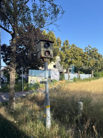 The image depicts a street scene in Hanau, Germany, on a clear, sunny day. The main subject is a traffic enforcement camera mounted on a pole. The camera is an older model, painted a weathered grey, with two lenses visible. One lens appears to be black, and the other has an orange light or reflection. The pole supporting the camera has a yellow reflective stripe and some graffiti.

Surrounding the traffic camera are elements of a suburban or semi-rural environment. To the left and in the foreground, a large tree with dark foliage dominates, its branches extending across the frame. Behind the tree and the camera, buildings can be seen, some with blue and light-colored facades. One building is partially covered with a grey tarp.

The ground is covered with a mix of vegetation. Tall, dry grass with some scattered white wildflowers grows along the side of a paved pathway that runs parallel to the street. The pathway is shaded in parts, suggesting the sun's position in the sky. The overall impression is one of a typical summer day in Germany, with a functional, if somewhat aged, piece of street infrastructure set against a backdrop of residential buildings and natural greenery. There is no visible activity or people in the image.
