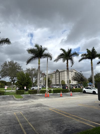A parking lot is lined with palm trees, a row of orange cones, and cars parked in the spaces. A multi-story building stands in the background. Overcast skies fill the frame with shades of gray and glimpses of blue. The perspective of the image is rotated, making the trees appear vertical and the parking lot horizontal.