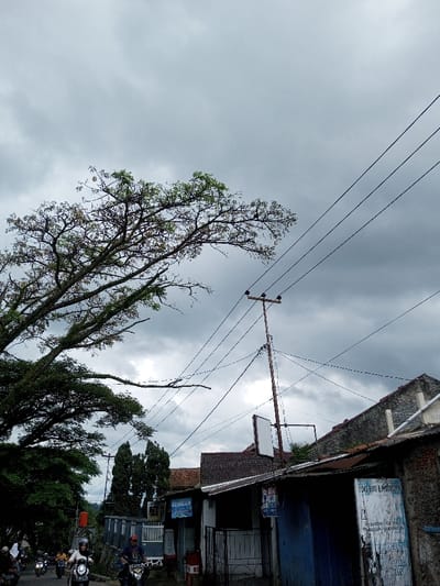 The scene depicts a busy street in Cibadak, Indonesia, under a heavily overcast sky filled with dark grey clouds. A large, mature tree with dense green foliage occupies the upper left, its branches extending horizontally across the frame. Multiple black electrical wires crisscross the upper and middle portions of the image, supported by a prominent wooden utility pole positioned right of center. This pole features insulators and crossarms.

Along the right side of the street, several one to two-story buildings are visible, characterized by worn facades, visible brickwork, and a mix of tiled and corrugated metal roofs. One building on the left features a blue sign reading "AQUARIUM," while another structure on the far right displays a partially legible, tattered sign. A blank white rectangular sign is mounted on a metal frame, positioned below the main utility wires.

The paved road in the lower left is populated by numerous motorcycles. Several individuals are operating these motorcycles; one motorcyclist in the foreground on the left wears a white helmet and light jacket on a light-colored scooter, while another in a red shirt and dark helmet rides a darker motorcycle. Additional motorcycles and faint figures, presumably other riders or pedestrians, are visible further down the road.