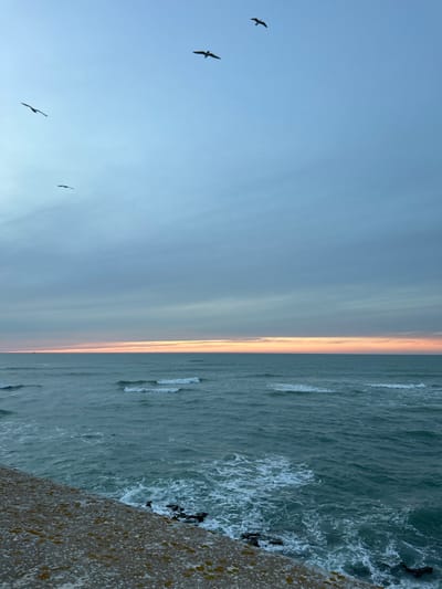 The image displays a panoramic coastal scene in Cádiz, Spain, during either dawn or dusk. The upper two-thirds of the frame feature a sky that transitions from a pale blue overhead to a muted gray-blue, exhibiting stratified cloud formations. Four dark-silhouetted seabirds are in various stages of flight across the upper left and upper right quadrants. A distinct horizon line separates the sky from the sea, marked by a thin, horizontal band of soft orange and pink light. The Atlantic Ocean occupies the middle portion of the image, presenting deep teal-green water with visible swells and white-capped waves, particularly prominent in the mid-ground. Near the bottom left, the top surface of a weathered concrete or stone seawall, covered with light-colored patches of lichen, angles into the frame. Beneath the seawall, the ocean waves break against visible dark rock formations. A single, small, dark, and indistinct maritime object is faintly discernible on the far-left horizon. No human subjects are visible within the frame.